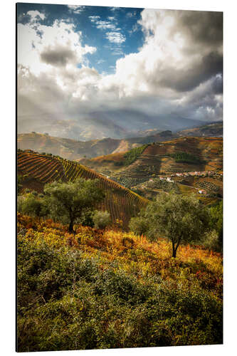 Aluminium print Doro Valley, Portugal