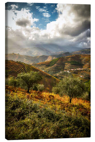 Canvas print Doro Valley, Portugal