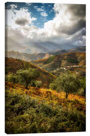 Canvas print Doro Valley, Portugal