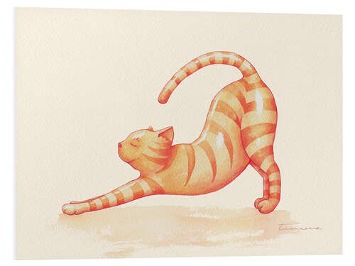 Foam board print Yoga Cat