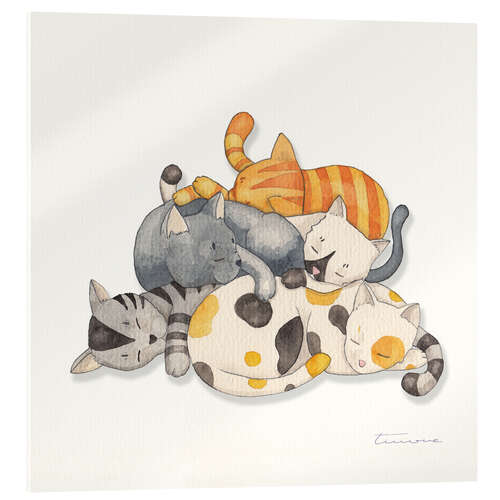 Acrylglas print Katten dutje