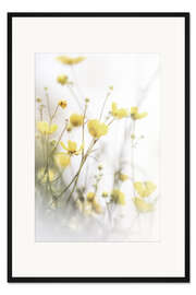 Gerahmter Kunstdruck Zarte Butterblumen