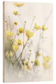 Wood print Delicate buttercups