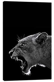 Canvas-taulu  Roaring lioness - Art Couture