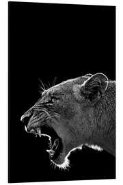 Magnettafel Brüllende Löwin