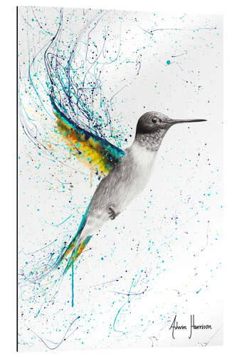 Gallery print Finding Home Hummingbird