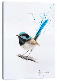 Canvas print Wren Wisdom