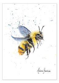 Wall print  Bumble Bee - Ashvin Harrison