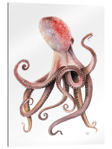 Galleriataulu Watercolor octopus