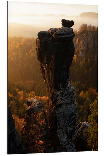 Aluminium print Needle with fog in autumn