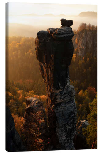 Leinwandbild Wehlnadel mit Nebel im Herbst