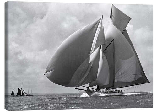 Canvas print Sails in the Wind