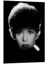 Magnettafel Tippi Hedren in die Vögel