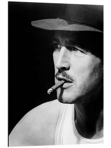 Aluminium print Paul Newman With Cigar