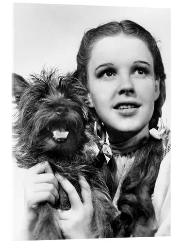 Acrylic print Judy Garland - The Wizard of Oz