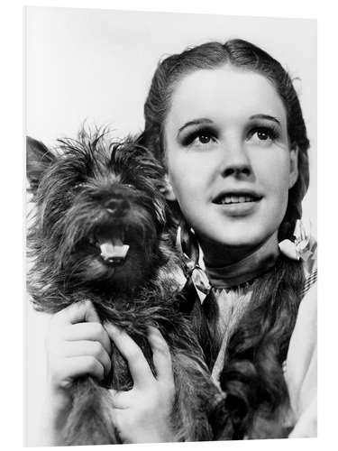 Foam board print Judy Garland - The Wizard of Oz