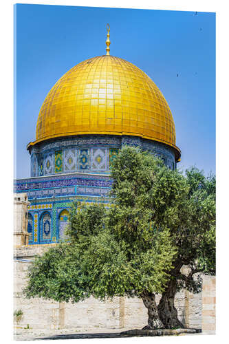 Akryylilasitaulu Dome of the Rock with olive tree