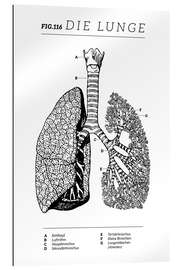 Gallery print Lungs Vintage Chart (German)