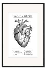 Gerahmter Kunstdruck Das Herz, Diagramm (Vintage, Englisch)