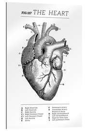 Stampa su plexi-alluminio Il cuore (inglese)