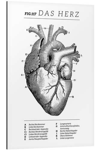 Aluminium print Heart vintage chart (German)