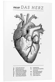 Foam board print Heart vintage chart (German)