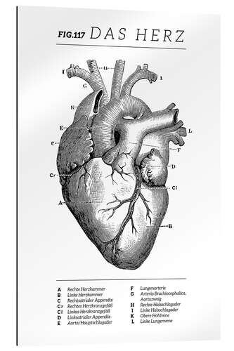 Galleritryk Heart Vintage Diagram (German)