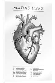 Galleriprint Heart Vintage Diagram (German)