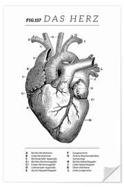 Wall sticker Heart vintage chart (German)