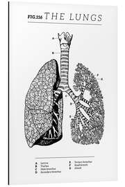 Magnettafel Die Lunge, Diagramm (Vintage, Englisch)