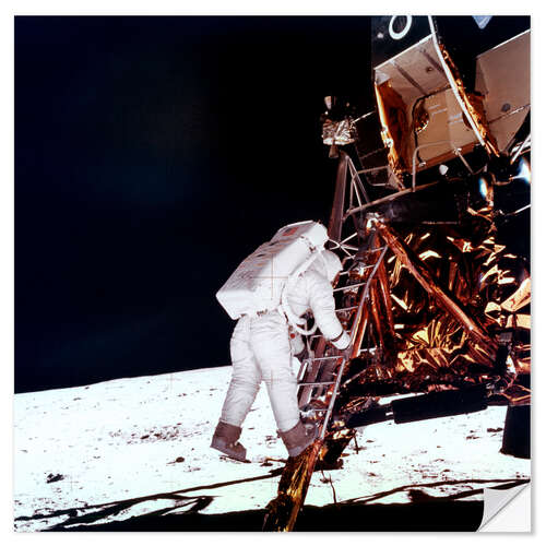 Muursticker Edwin "Buzz" Aldrin on the moon