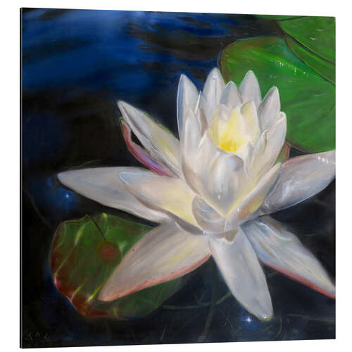 Tableau en aluminium Nénuphar blanc