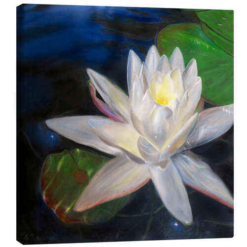 Canvas print Waterlilly-white