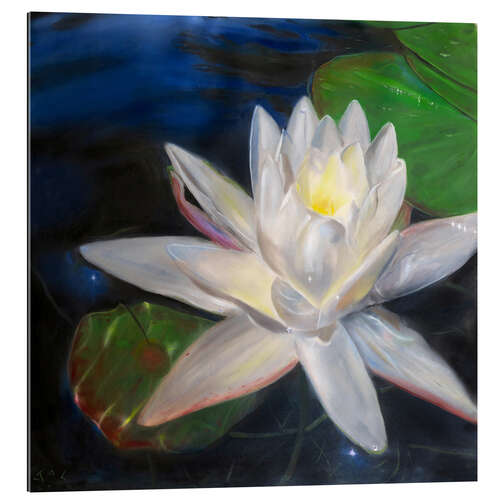 Stampa su plexi-alluminio Waterlilly-white