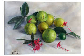 Magnettafel Guaven und Ixora Largeb