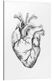 Aluminiumtavla Anatomical Heart