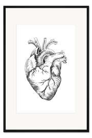 Gerahmter Kunstdruck Anatomisches Herz