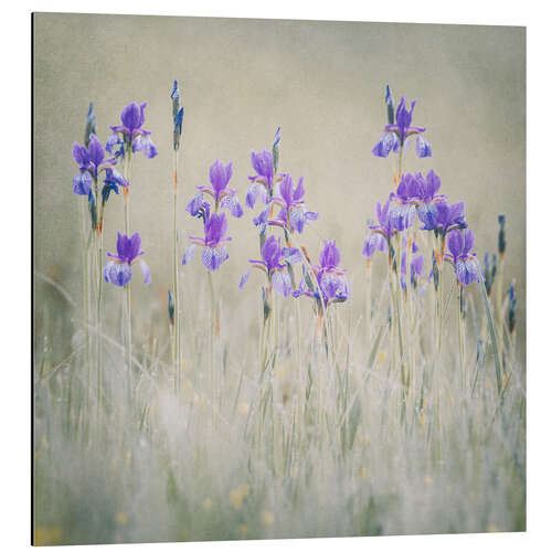 Aluminium print Lily meadow