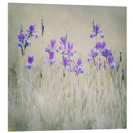 Foam board print Lily meadow