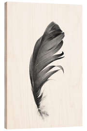 Wood print Black Feather