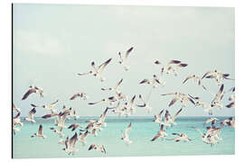 Aluminium print Seagulls on the Baltic Sea