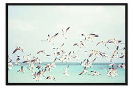 Gerahmter Kunstdruck Möwen an der Ostsee