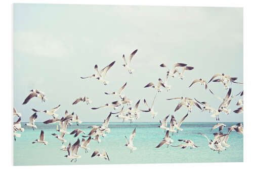 Foam board print Seagulls on the Baltic Sea