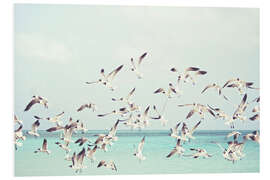 Foam board print Seagulls on the Baltic Sea