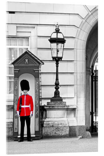 Acrylic print Buckingham Guard - London