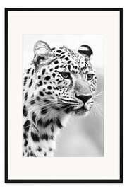 Gerahmter Kunstdruck Jaguar