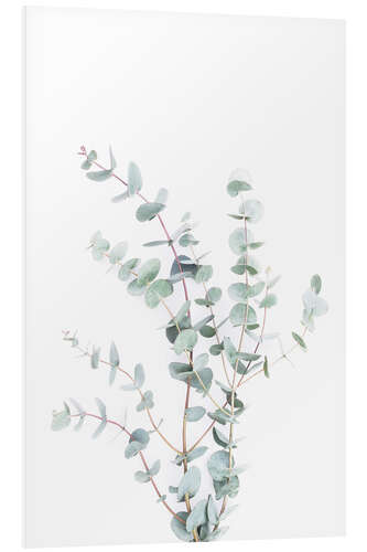 PVC-taulu Eucalyptus II