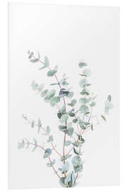 Foam board print Eucalyptus II