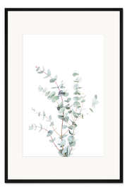 Gerahmter Kunstdruck Eukalyptus II