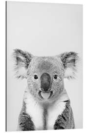 Aluminium print Friendly Koala